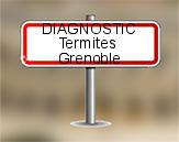 Diagnostic Termite AC Environnement  à Grenoble